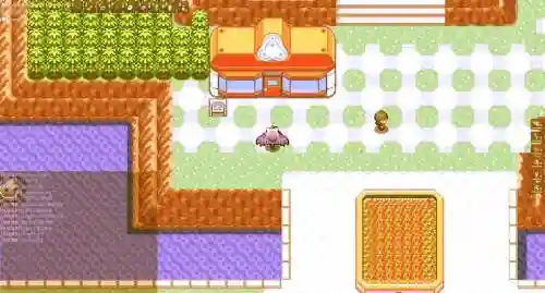 口袋妖怪pokem丰源二周目攻略插图