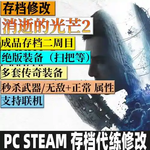 消逝的光芒steam武器存档插图1