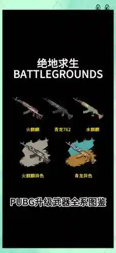 光荣使命吃鸡武器排行插图1