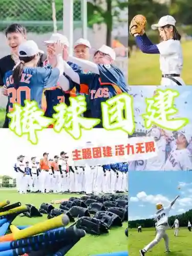 棒球阵容搭配图片_1插图