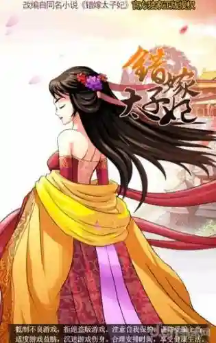 错嫁太子妃2筛子攻略插图