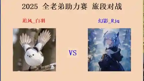白羽阵容搭配插图1