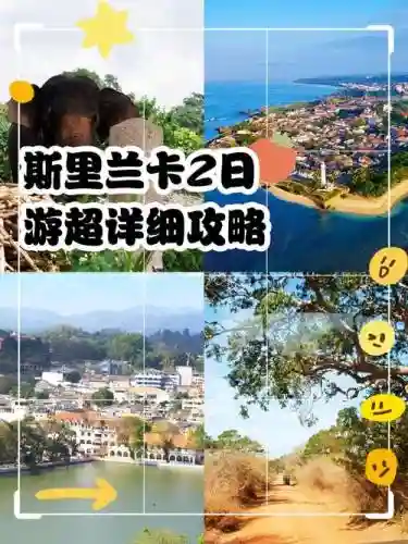 斯皮兰卡游戏攻略插图