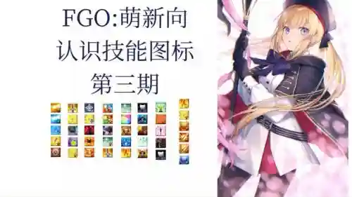 fgo里装技能怎么用，fgo新增技能插图