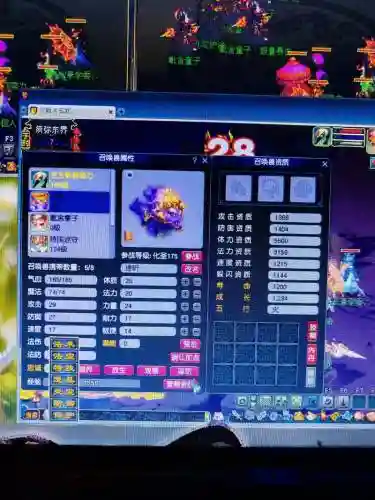 梦幻西游找宝宝，梦幻西游宝宝找不到了,可能放哪里了插图1