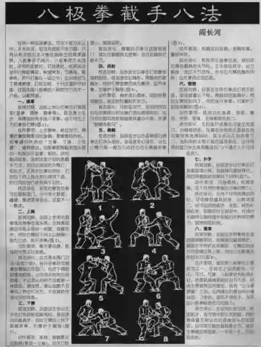 武极强拳技能的名字，极武武术插图