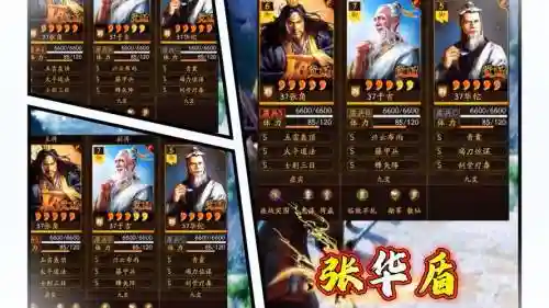 华佗阵容搭配，华佗组队插图