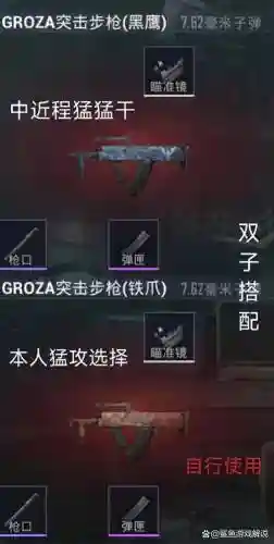 刺激战场两把武器搭配，刺激战场两把武器搭配怎么弄插图