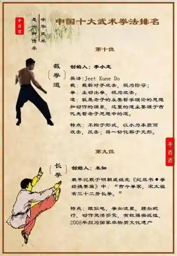 武极强拳技能的名字，极武武术插图1