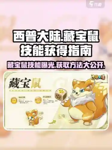 藏宝鼠攻略，藏宝鼠怎么玩
