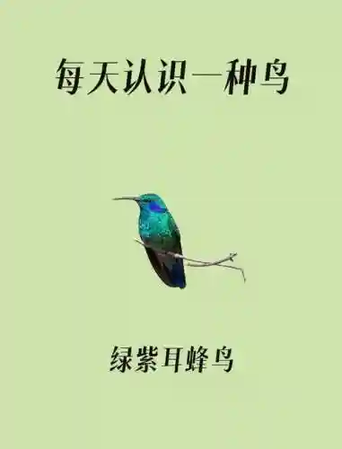 蜂鸟攻略，蜂鸟讲解插图