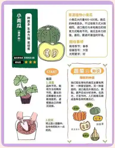 燃烧的南瓜田攻略，燃烧的蔬菜攻略大全插图