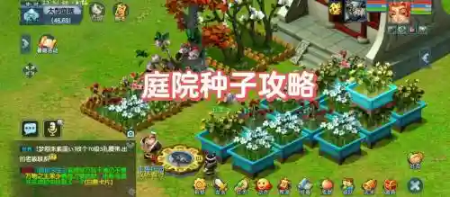 梦幻西游庭院都有什么，梦幻西游庭院种类