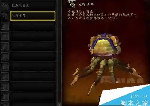 池塘水母坐骑攻略,魔兽池塘水母坐骑攻略插图 池塘水母坐骑攻略,魔兽池塘水母坐骑攻略插图